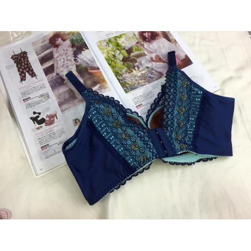 Rocking sparkling lace bra. Graceful focus. Romantic turtleneck. A/B/C/D - soft steel band.