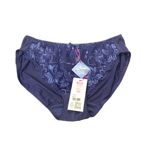 Functional beauty matching underwear 53880