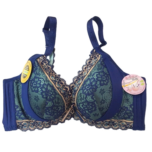 古典美背咖啡紗調整型內衣