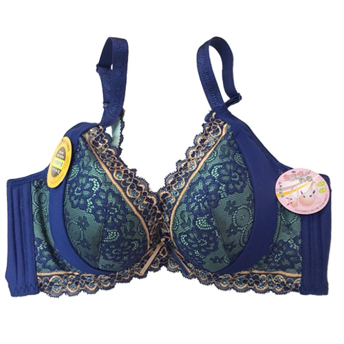 古典美背咖啡紗調整型內衣