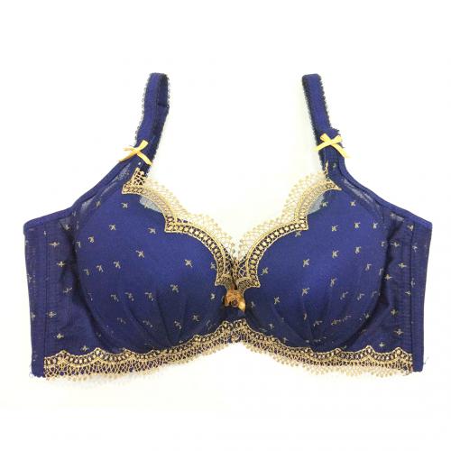 Royal luxurious Tito beauty lingerie