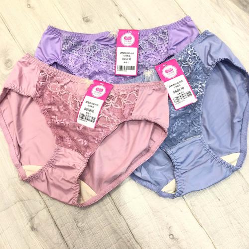 GeGe Beautiful Functional Underwear - Matching Underwear