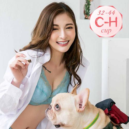 【Large Size C-H Size】Soft Cotton Innerwear with Elastic Support - Purple Skin Tone, Black and Green - Wire