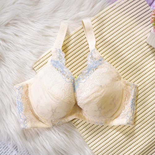 大罩杯大尺碼女孩調整型內衣