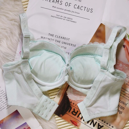 淡雅深滑不離罩系列I-利姿調整型內衣     專業養脂術系列