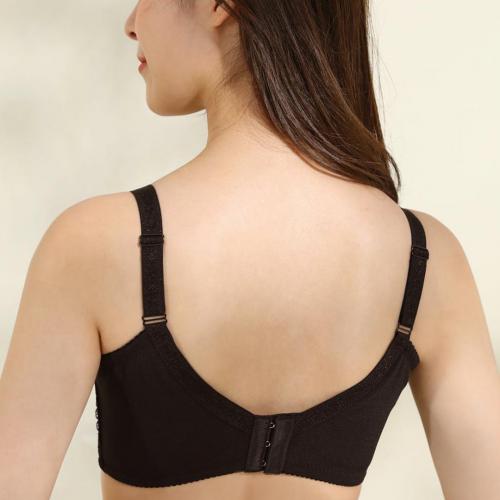 Elegant Deep Smooth Non-Empty Cup Series II - Li Zi Adjustable Underwear  Professional Fat-Building Technique Series