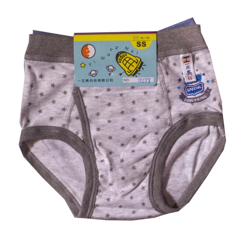 Robot boys' underwear two in group