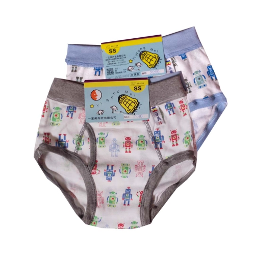 Duo Duo Robot Boys' Underwear Two in