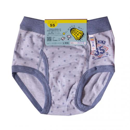 Robot boys' underwear two in group