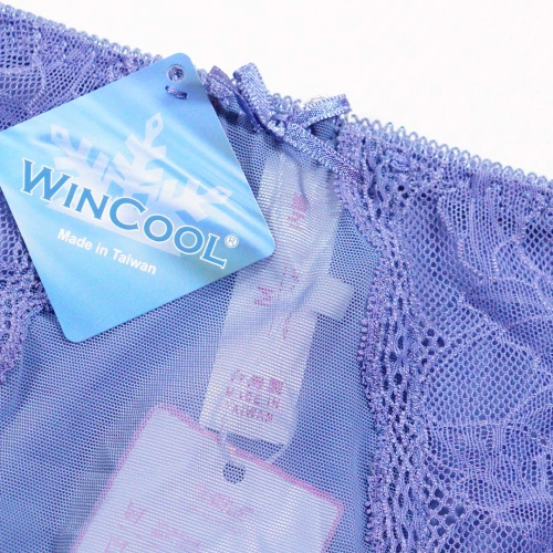 【MIT機能內衣】塑出好型胸器、副乳消失機能透氣機能內衣 配套內褲