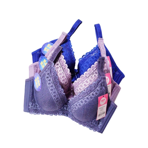 小胸必備，不壓逼好心情軟鋼圈調整型內衣     專業養脂術系列 - 軟鋼圈內衣