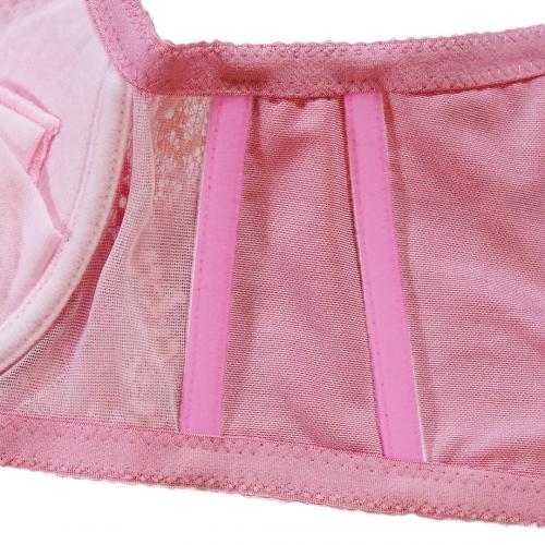 Silky Lace Petite Sexy Concentrated Adjustment Underwear - Professional Fat-Gain Technique Series