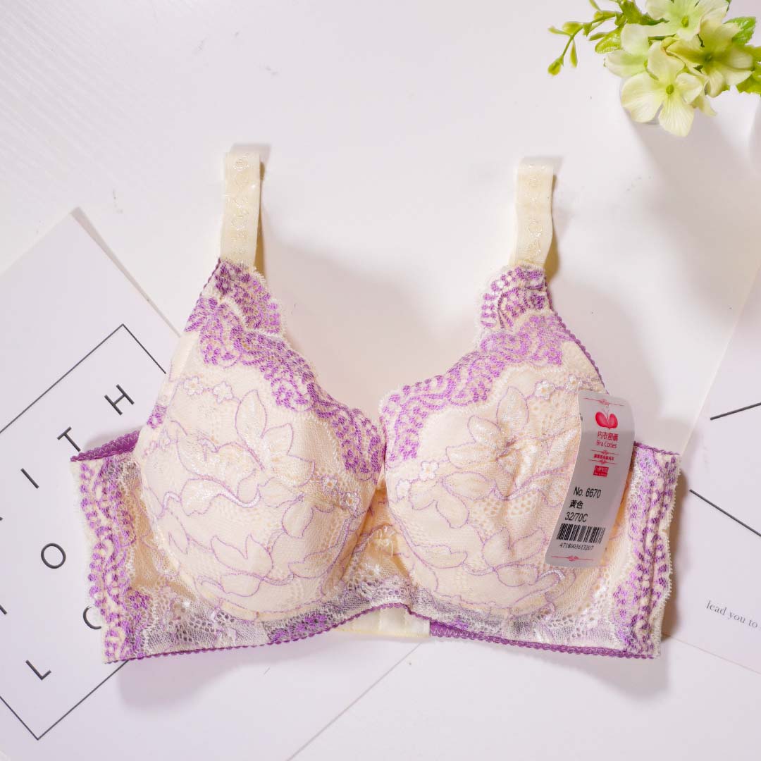 貴麗雅集高挺調整型內衣－C、D、E、F、G、H 杯