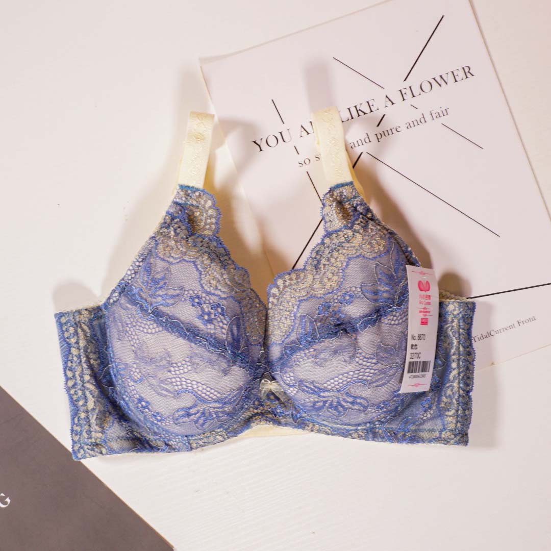 貴麗雅集高挺調整型內衣－C、D、E、F、G、H 杯