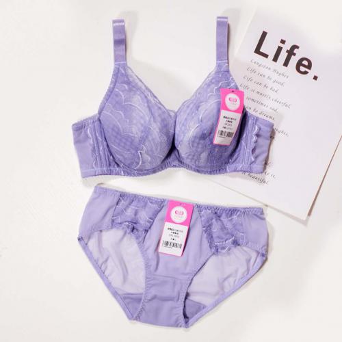 Sweet Goddess Large Cup Covering Functional Underwear - Wire