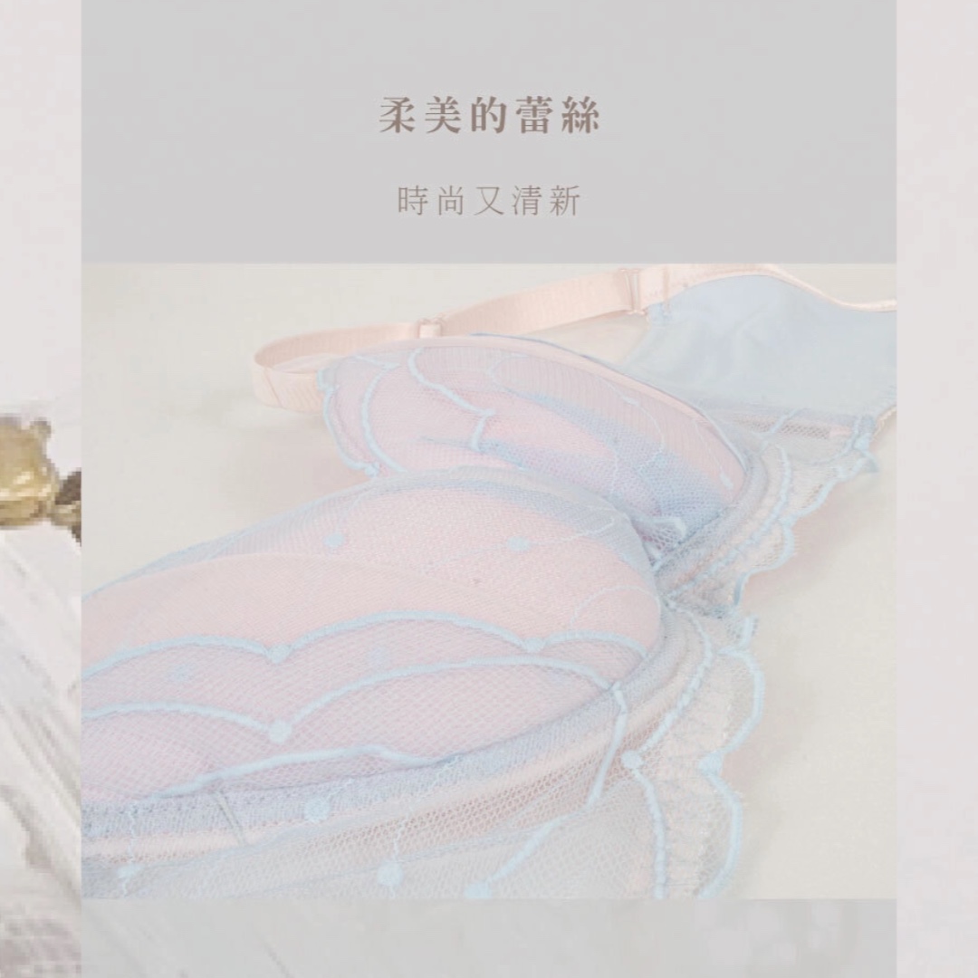 PUSH UP集中調整型內衣