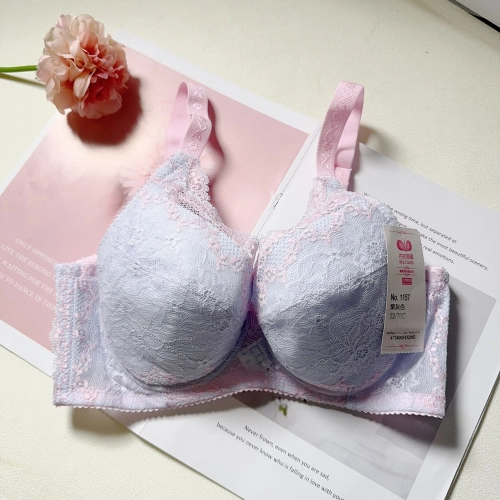 Pure Innocence Era Complete-Function Underwear