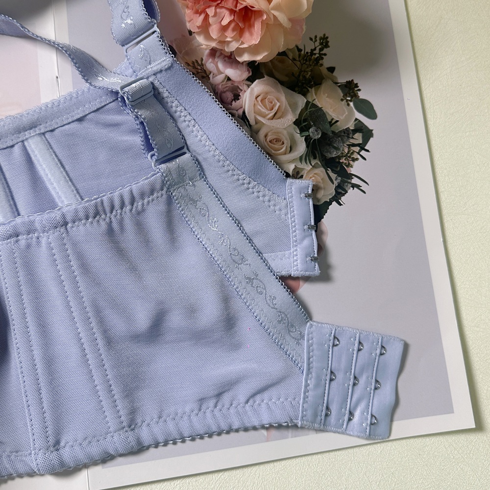 法式甜心大罩杯調整型內衣-大罩杯福音     專業養脂術系列