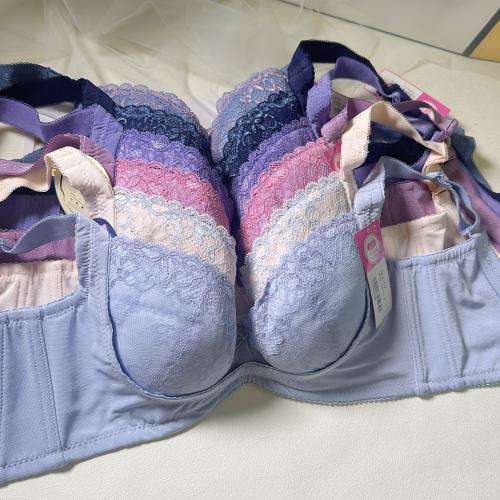 French Sweetheart Large-Cup Adjustable Underwear - The Gospel of Large Cups  Professional Lipid Maintenance Series